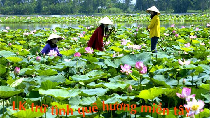 Chuyên gia Hotspot Matrix phân tích: Hoá ra đây là chiếc app khiến và marketing video