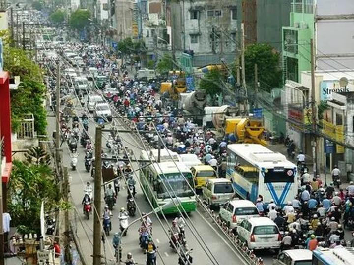 Bonobo: Nguồn Gốc Tiến Hóa Của Ngôn Ngữ Con Người?