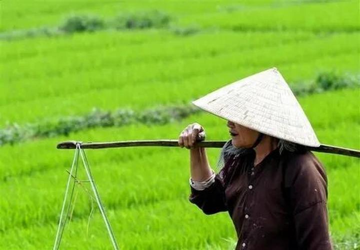 Từ 2 kiểu áo hot nhất hè này: đến chiến lược content: Hotspot Matrix chia sẻ